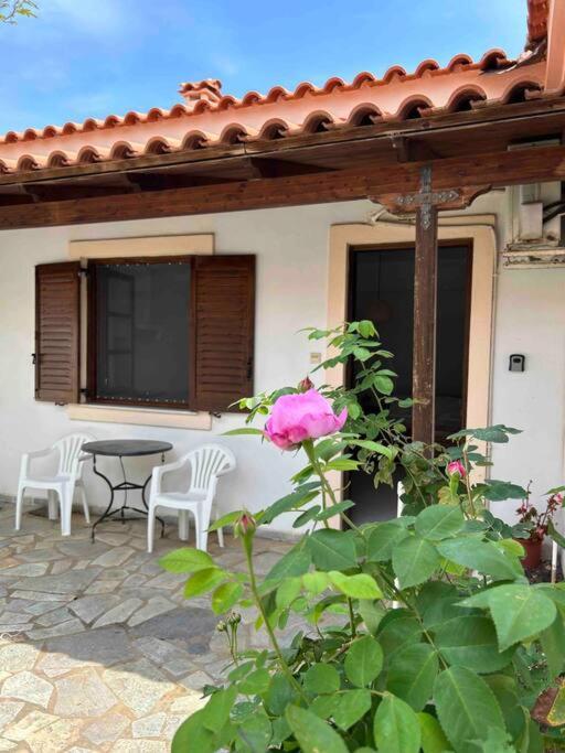 דירות Cozy Studio In Skala, Agistri מראה חיצוני תמונה